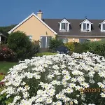 B&B The Plough 3*