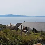 B&B The Plough