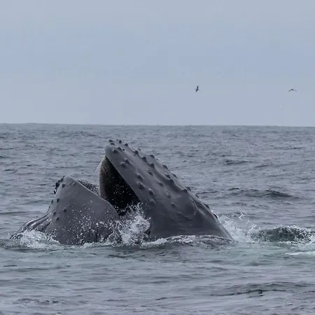 Alojamento de Acomodação e Pequeno-almoço The Plough 3*