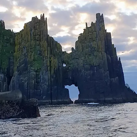 לינה וארוחת בוקר The Plough ונטרי