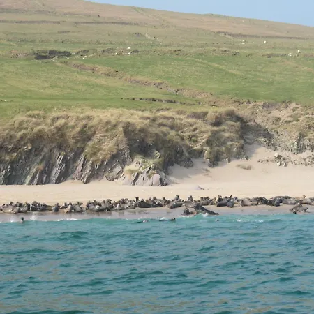 The Plough 3* Ventry