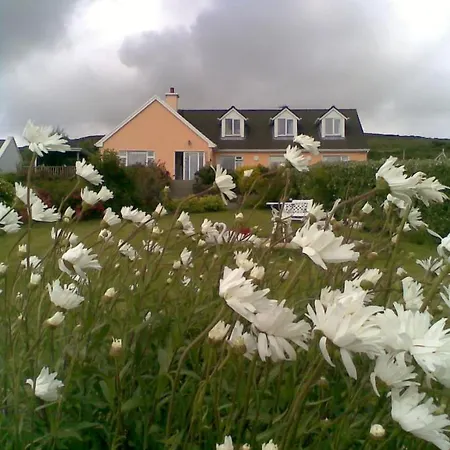 The Plough 住宿加早餐酒店 文特里