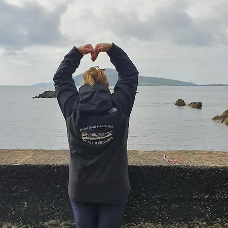 The Plough 3* Ventry