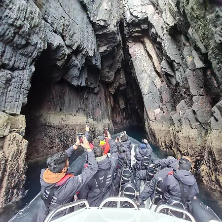 The Plough ונטרי