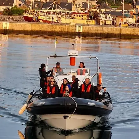 住宿加早餐酒店 The Plough 3*