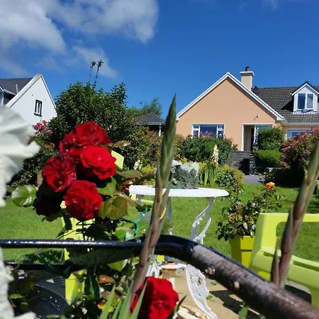 Bed & Breakfast The Plough Ventry
