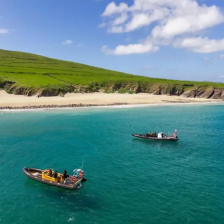The Plough Bed & Breakfast Ventry