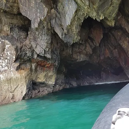 The Plough 文特里