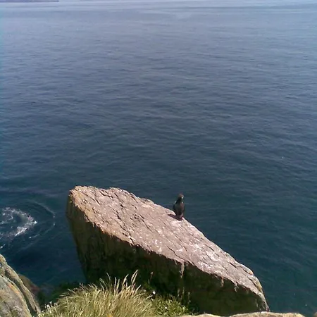 The Plough 住宿加早餐酒店 文特里