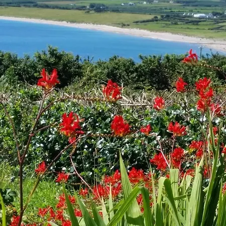 Couette-café The Plough Ventry