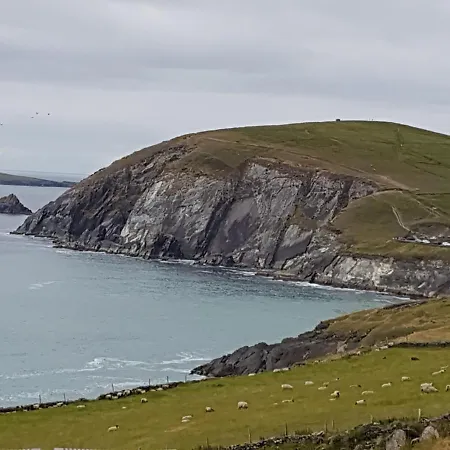 Couette-café The Plough Ventry