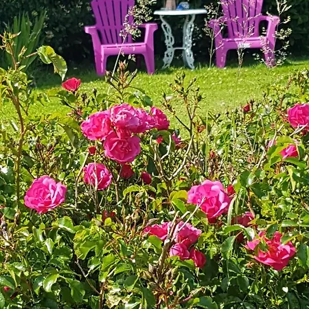 Bed and breakfast The Plough Ventry