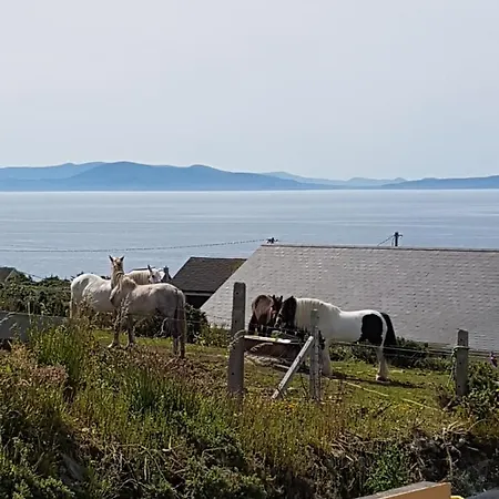 Bed and breakfast The Plough