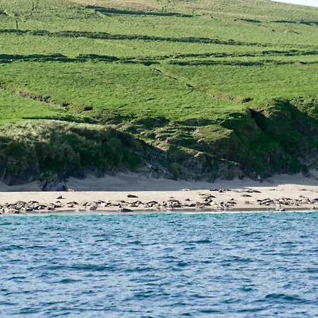 The Plough 3* Ventry