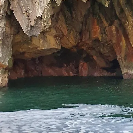 The Plough לינה וארוחת בוקר ונטרי