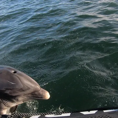 The Plough Alojamento de Acomodação e Pequeno-almoço 3*