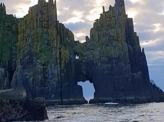 ベッド・アンド・ブレックファスト The Plough ベントリー