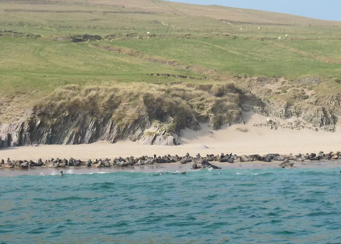 The Plough 3* Ventry