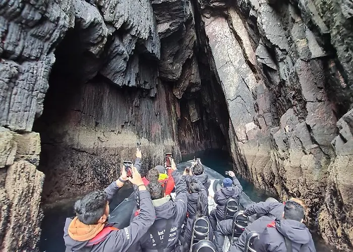 The Plough 벤트리