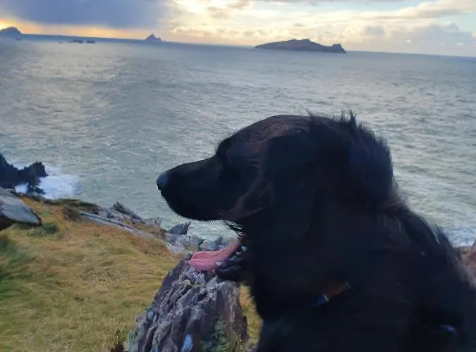 B&B The Plough 벤트리