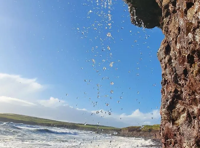 B&B The Plough 벤트리