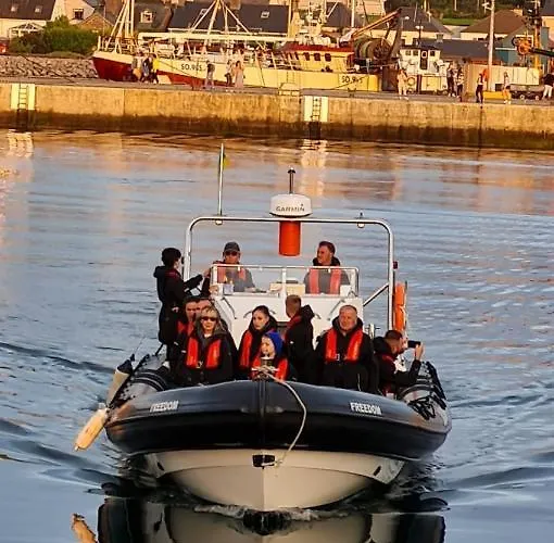 ベッド・アンド・ブレックファスト The Plough 3*