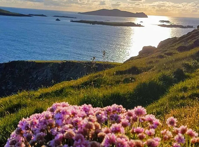 The Plough ベッド・アンド・ブレックファスト 3*