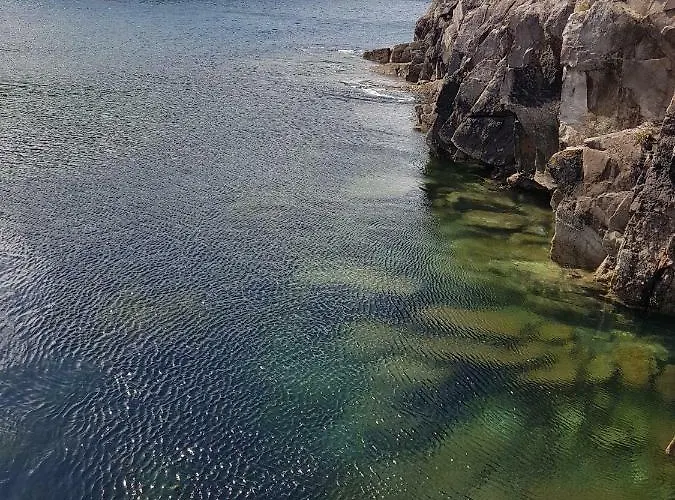 The Plough ベッド・アンド・ブレックファスト ベントリー