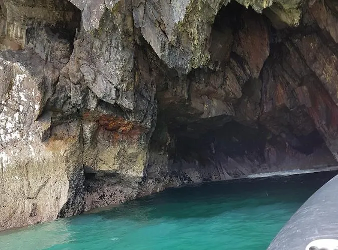 The Plough ベントリー