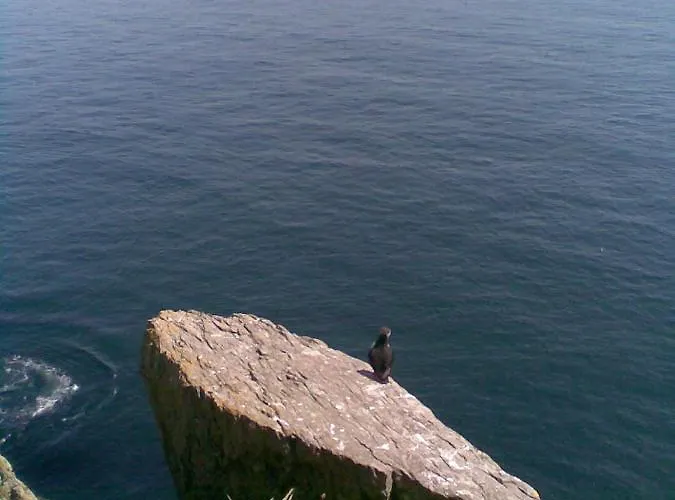 The Plough ベッド・アンド・ブレックファスト ベントリー