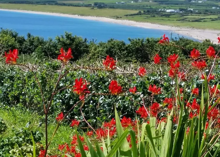 B&B The Plough 벤트리