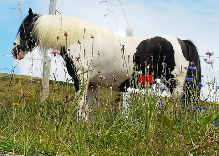 The Plough 3* ベントリー