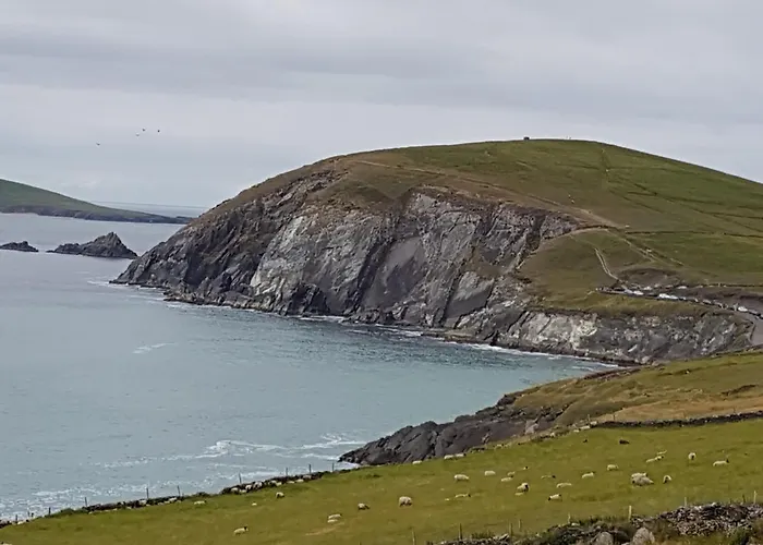 B&B The Plough 벤트리