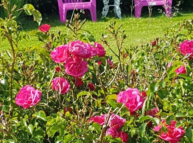 B&B The Plough 벤트리