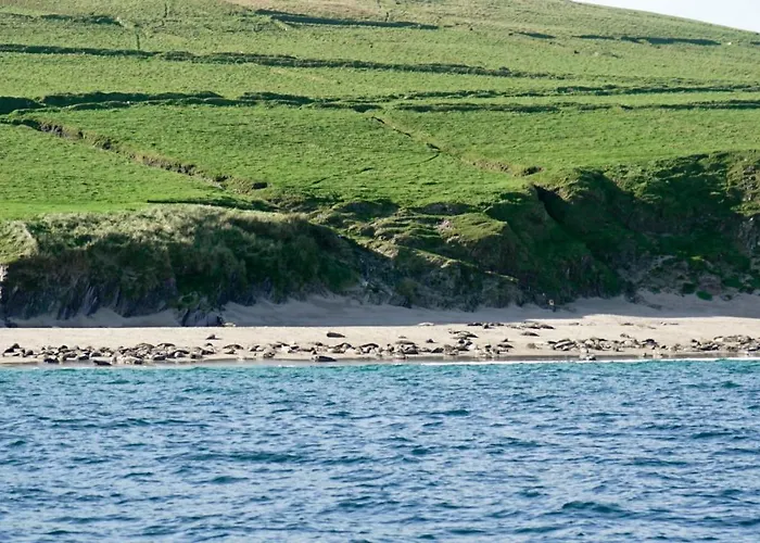 The Plough 3* 벤트리